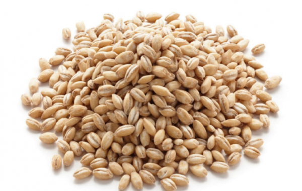 Крупа перловая 1/25кг