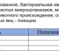 Пармезан сыр 40%, ТМ Киприно КРУГ 5 кг