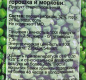 Смесь морковки и зеленого горошка Larena 480(280г)г ст/б 1/8